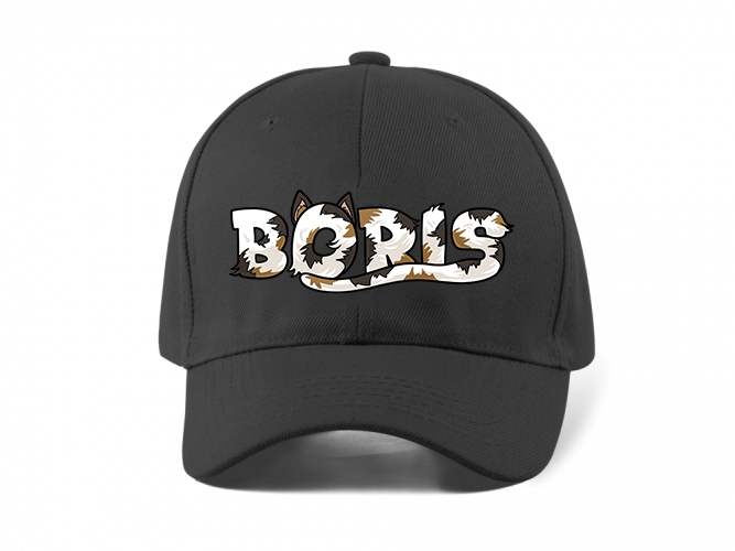 Hairy Boris cap with embroidery