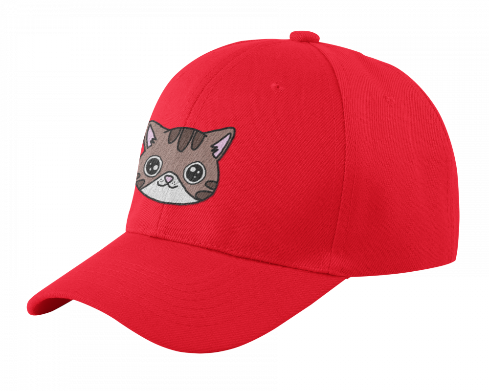 Čepice a kšiltovky