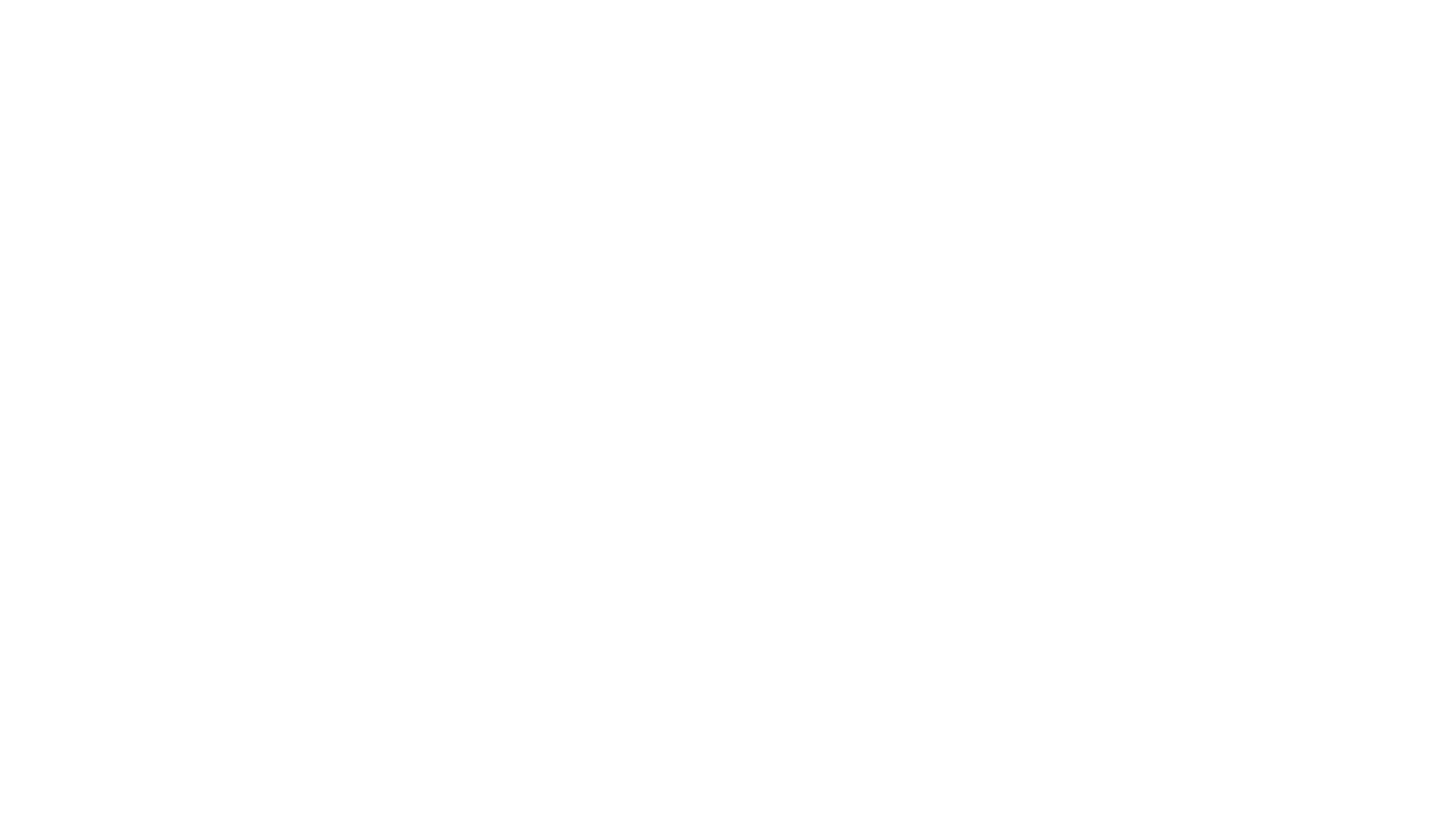 FIZISHOP logo