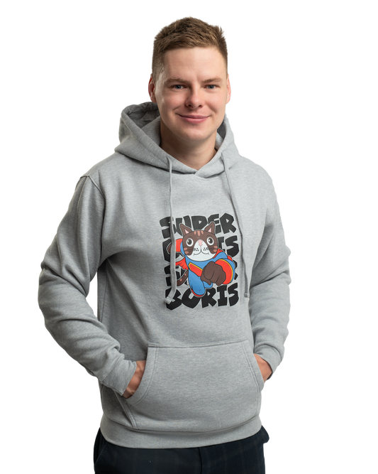 Sweatshirt SUPER BORIS - grey