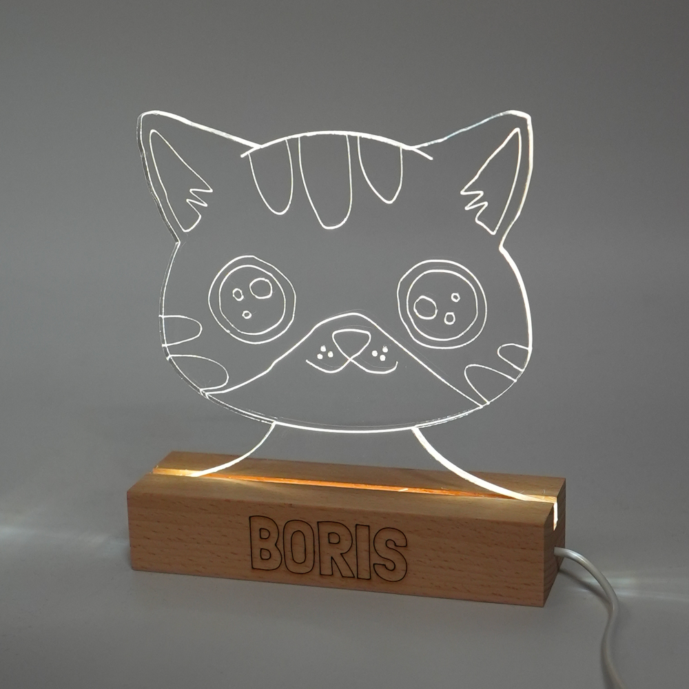 Luminous lamp - Boris the cat