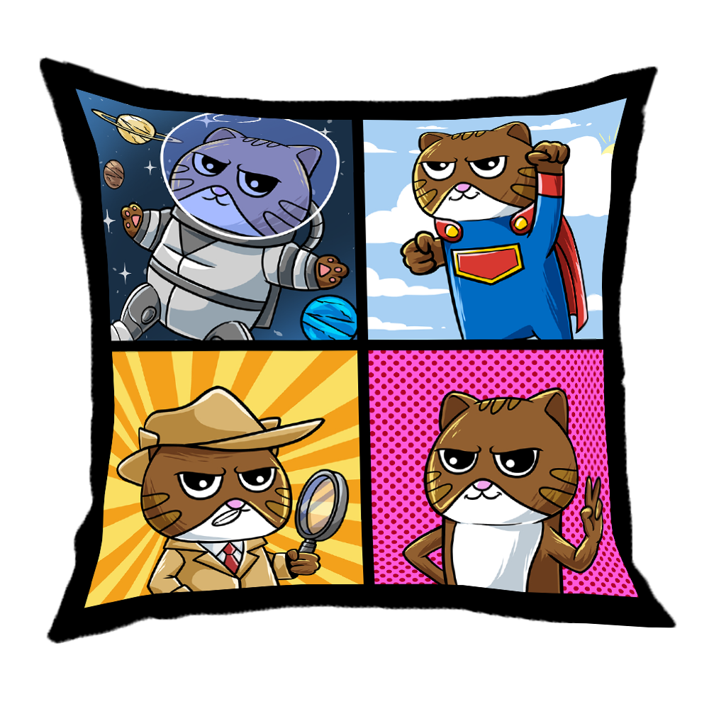 Pillow 40x40cm Boris