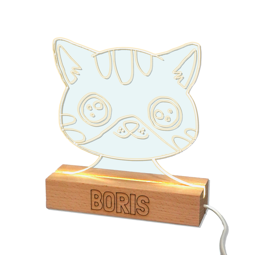 Luminous lamp - Boris the cat