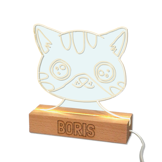 Luminous lamp - Boris the cat