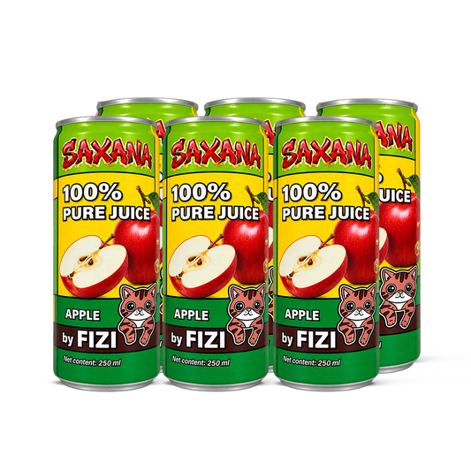 FIZI DRINK - Apple Juice 250ml CZ