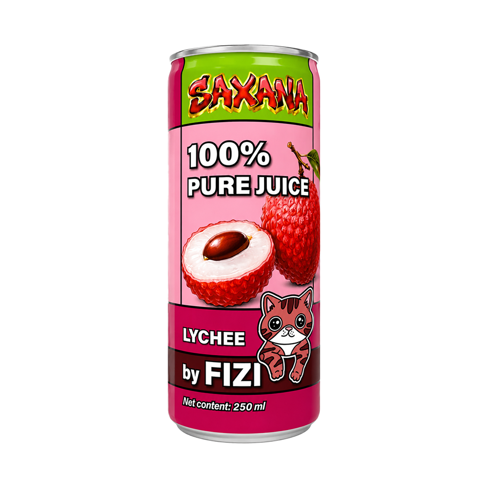 FIZI-Getränk - Liči Saft 250ml CZE