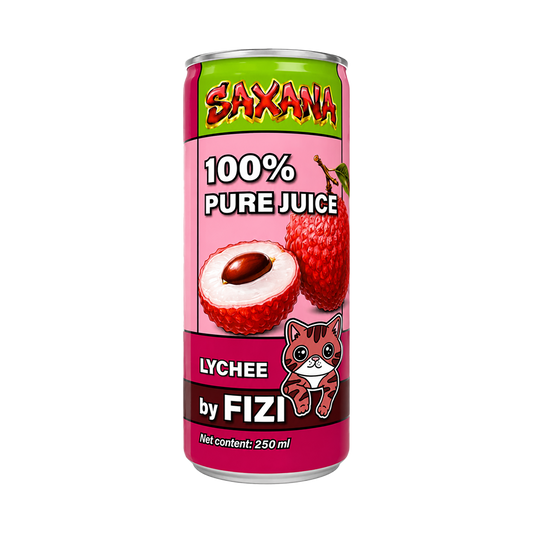 FIZI-Getränk - Liči Saft 250ml CZE