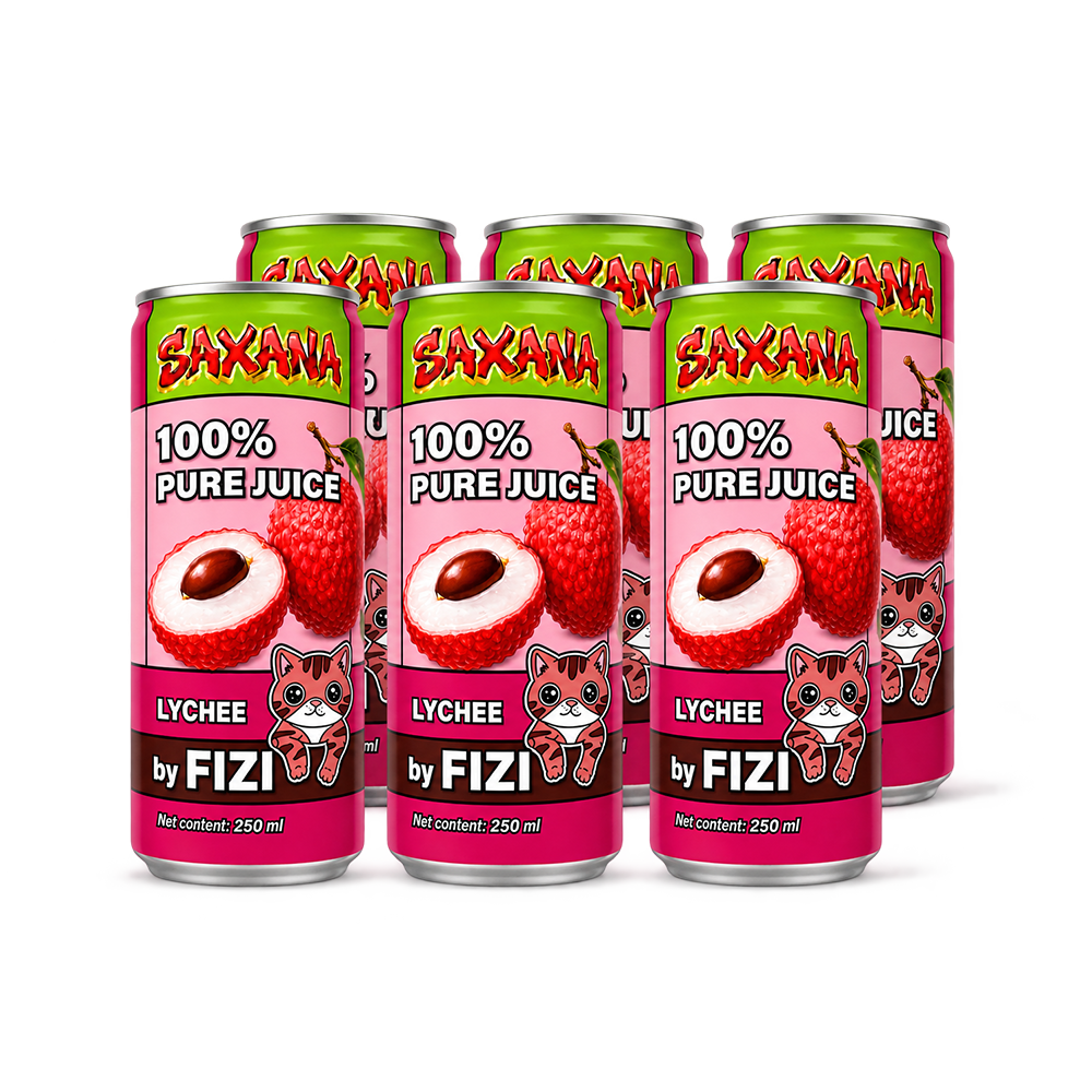 FIZI-Getränk - Liči Saft 250ml CZE