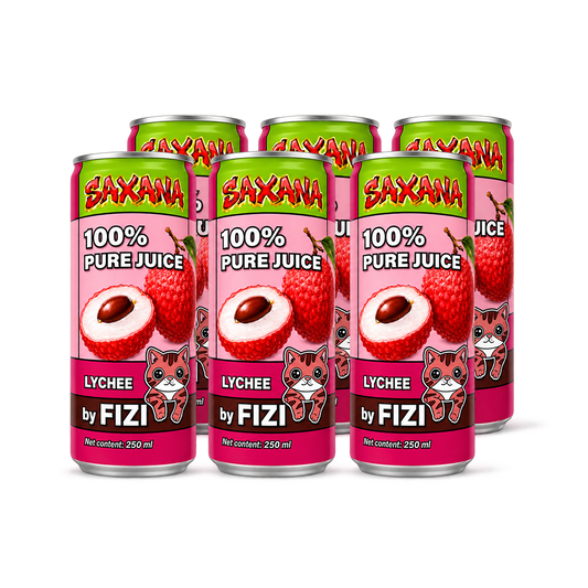 FIZI DRINK - Lychee Juice 250ml CZ
