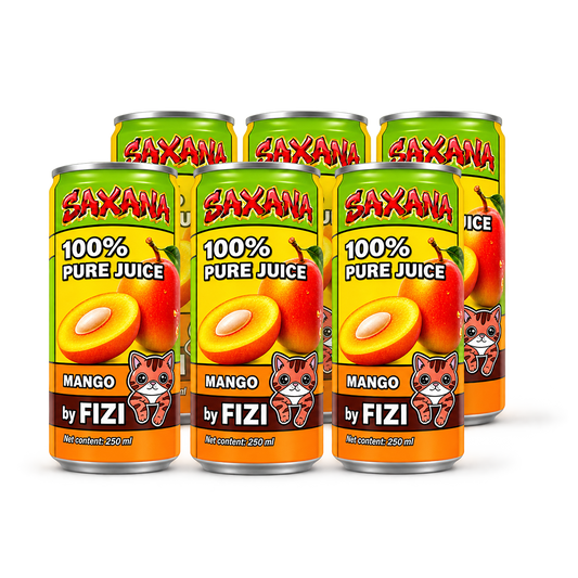 FIZI-DRINK - Mango Juice 250ml CZ