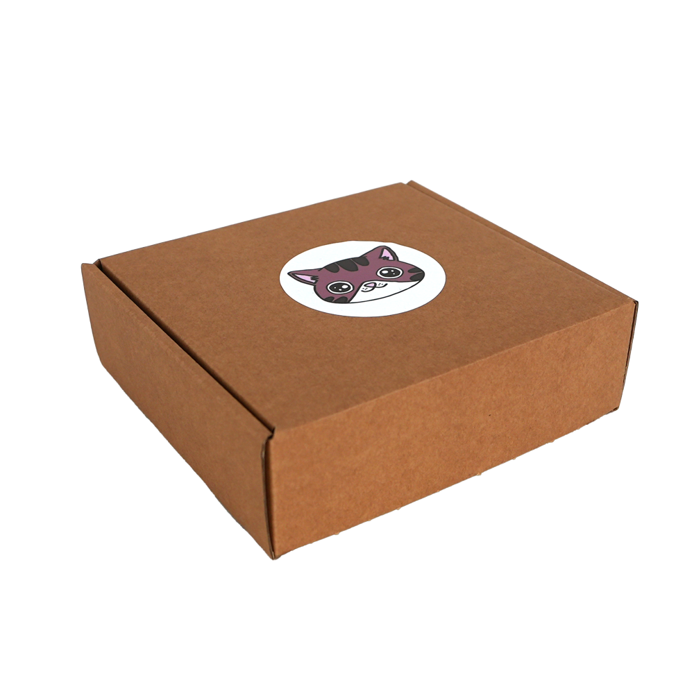 Luminous lamp - Boris the cat